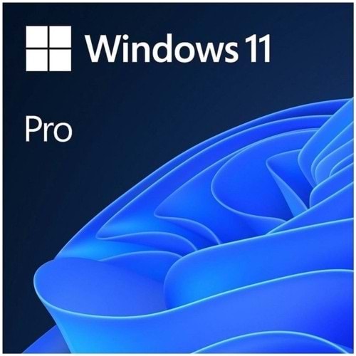 Microsoft Windows 11 Pro 64 Bit Oem DVD Kutu FQC-10556