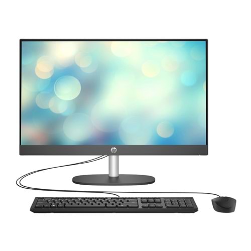 Hp ProOne 245 G10 D4VB9ET 23.8