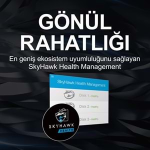 Seagate SkyHawk 1 TB 5900 Rpm 64MB Güvenlik Diski ST1000VX005