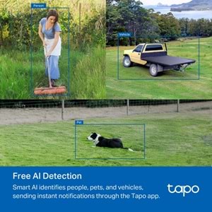 TP-Link Tapo C501GW Dış Ortam 3G/4G LTE/LAN Güvenlik Kamerası